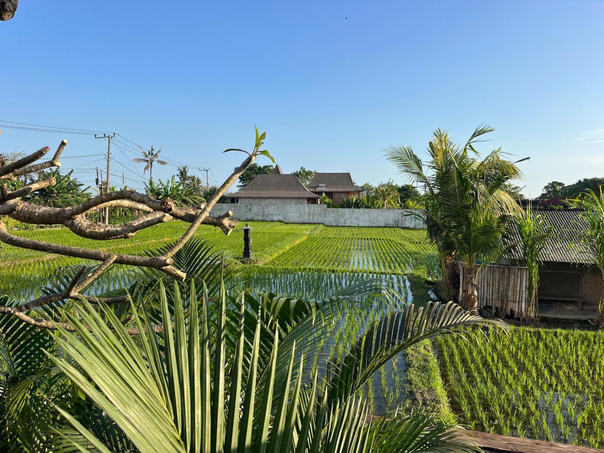 Unit Space Village Canggu Zewnętrze zdjęcie